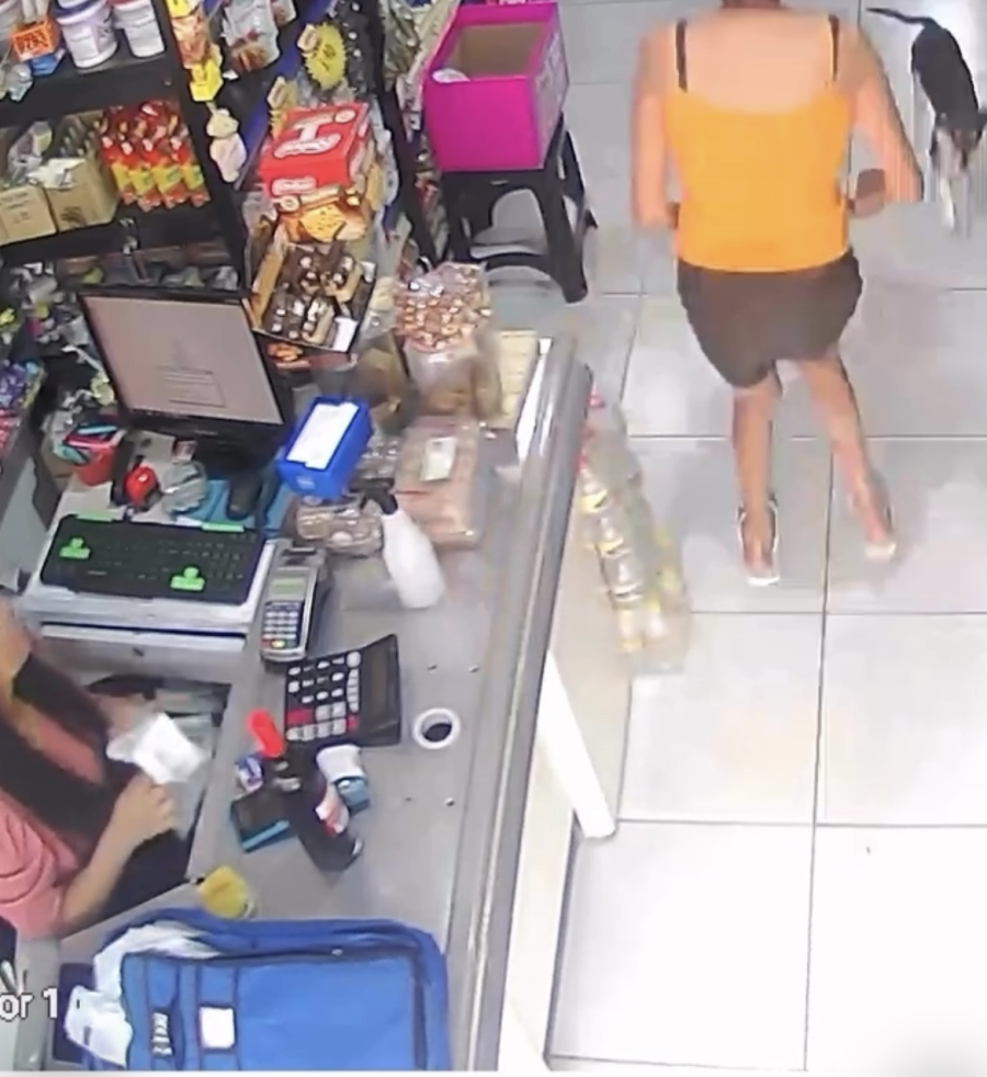 Cachorro vai ao mercado com dona e se diverte 